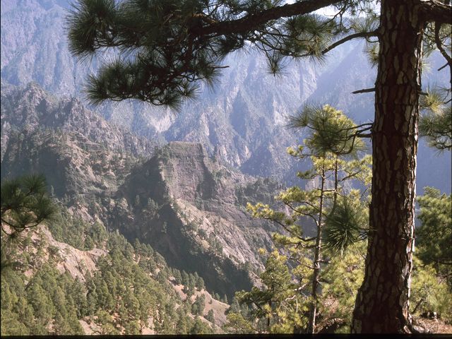 La Palma   La Palma   Vulkanwandern  Caldereia de TaburienteLa Palma  La Palma   La Palma  Vulkanwandern  Caldereia de TaburienteLa Palma bizarre Vulkanlandschaften  Vulkanwandern  Caldereia de Taburiente