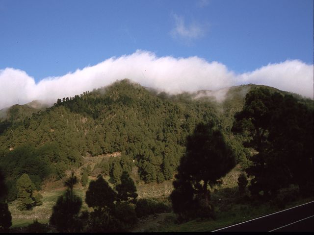 Caldera der Taburiente 