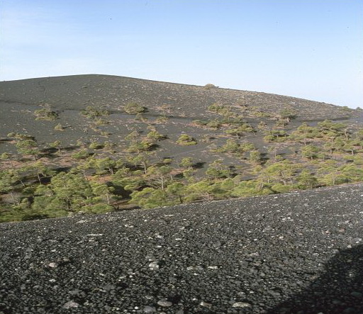 La Palma  weg zum Leuchtturm ueber Lapilli nach Fuencaliente Salinas