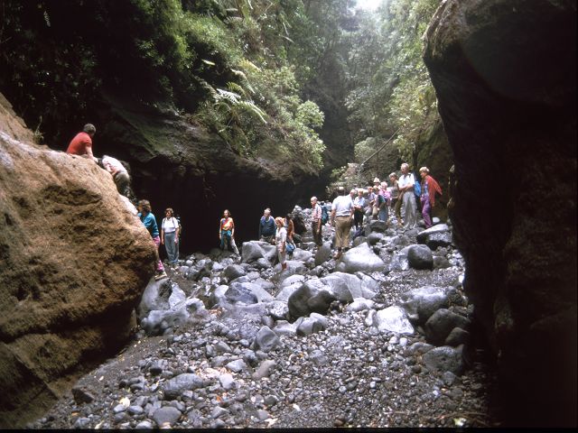 WAnderung in der Schlucht Taburiente Wandeung im Lorberwald