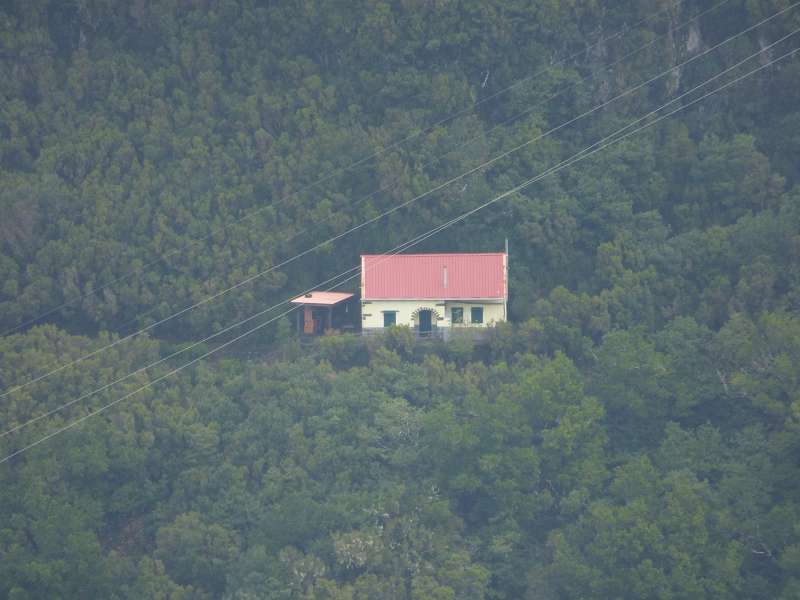 Madeira   Cabo  Madeira  Lorbeerwälder Laurasilva Lorbeerwald 