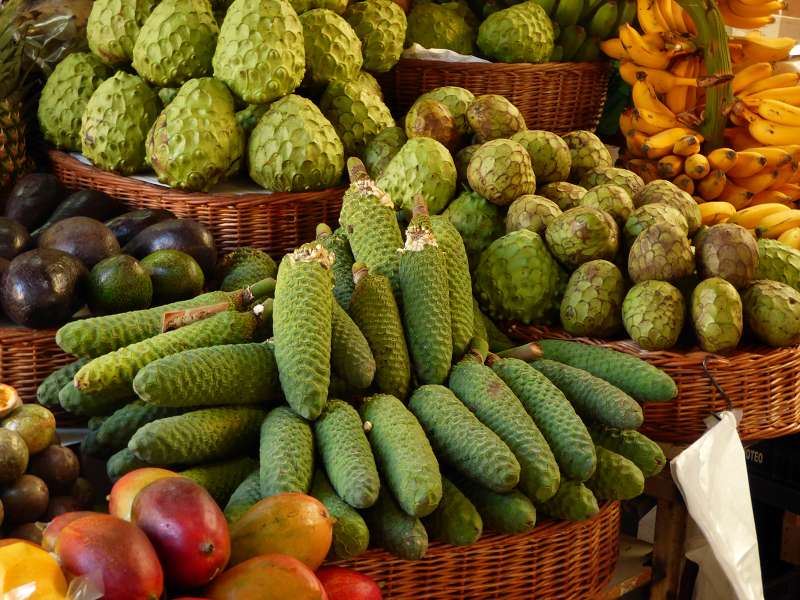 Madeira  Madeira      Funchal  Mercado der Markt die Markthallen in Funchal