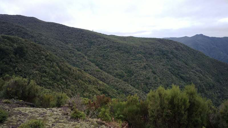 Madeira   Cabo  Madeira  Lorbeerwälder Laurasilva Lorbeerwald  Forsthaus 