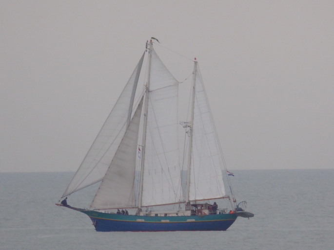 Scheveningen Segler Seglerparade Segelschiffe