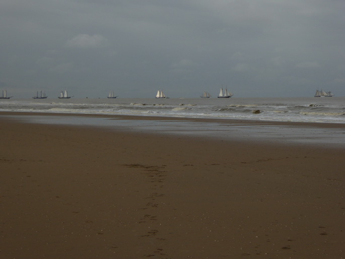 Scheveningen Segler Seglerparade Segelschiff