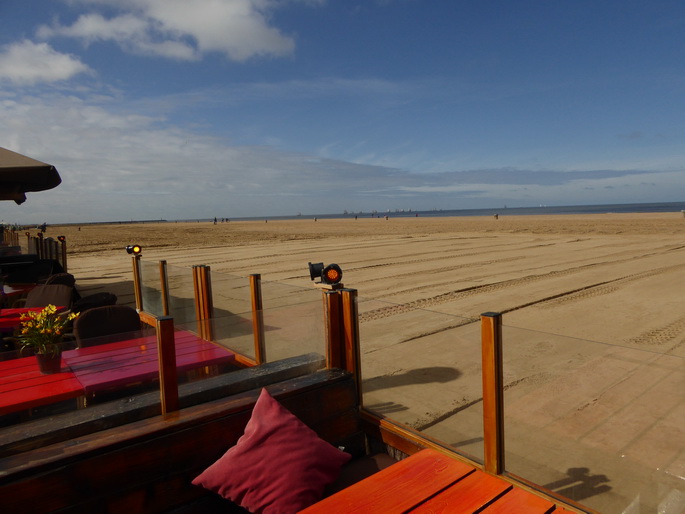 Scheveningen Seesterne nach dem Sturm Seestern