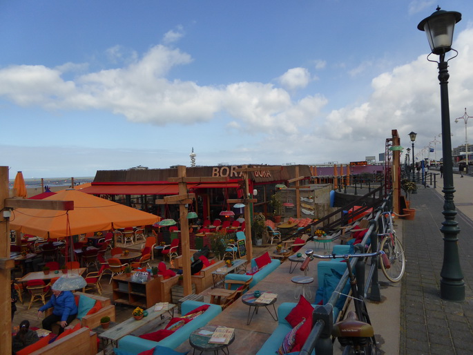 Scheveningen Seesterne nach dem Sturm Seestern