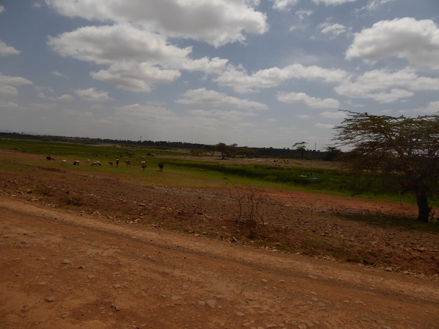    Kenia   Fahrt   Bogoria nach Samburu  Kenia   Fahrt   Bogoria nach Samburu 