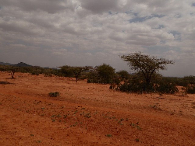    Kenia   Fahrt   Bogoria nach Samburu  Kenia   Fahrt   Bogoria nach Samburu 