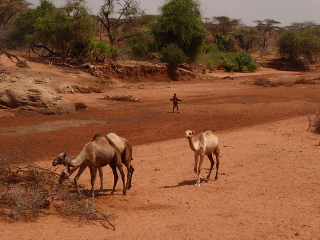    Kenia   Fahrt   Bogoria nach Samburu  Kenia   Fahrt   Bogoria nach Samburu 