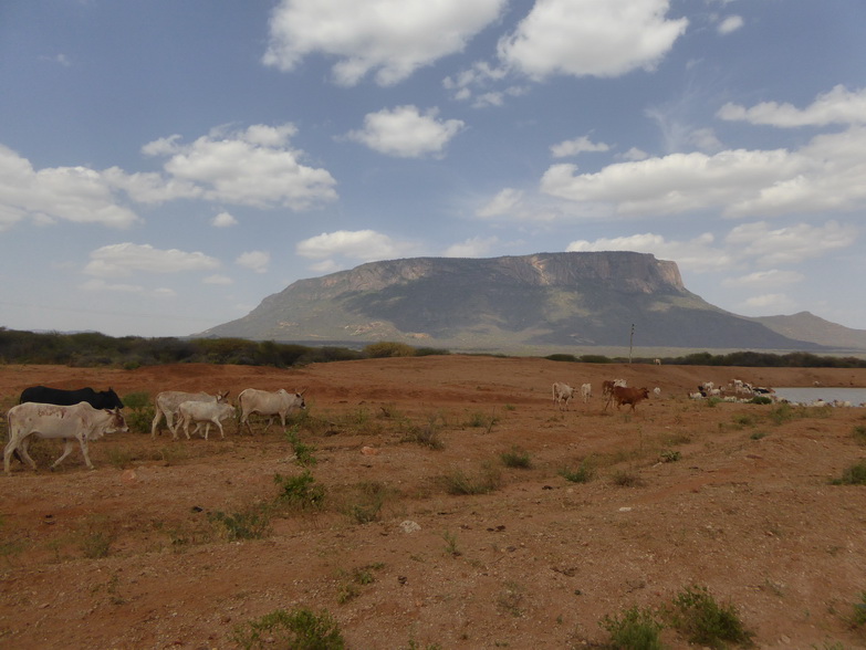    Kenia   Fahrt   Bogoria nach Samburu  Kenia   Fahrt   Bogoria nach Samburu 