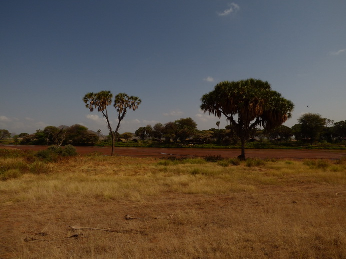 Samburu Nationalpark elephant bedroom camp new 2016