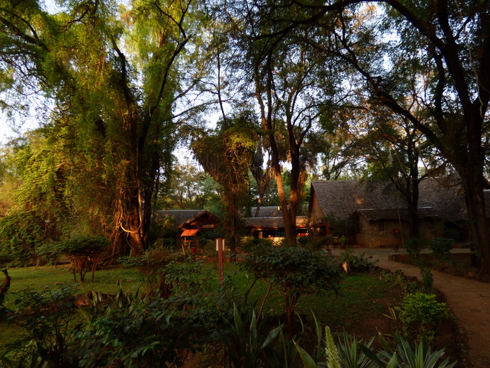 Sentrim Lodge samburu National Park Elephant Bedroom Samburu Serena Safari Lodge Samburu Serena Safari Lodge Samburu Serena Safari Lodge