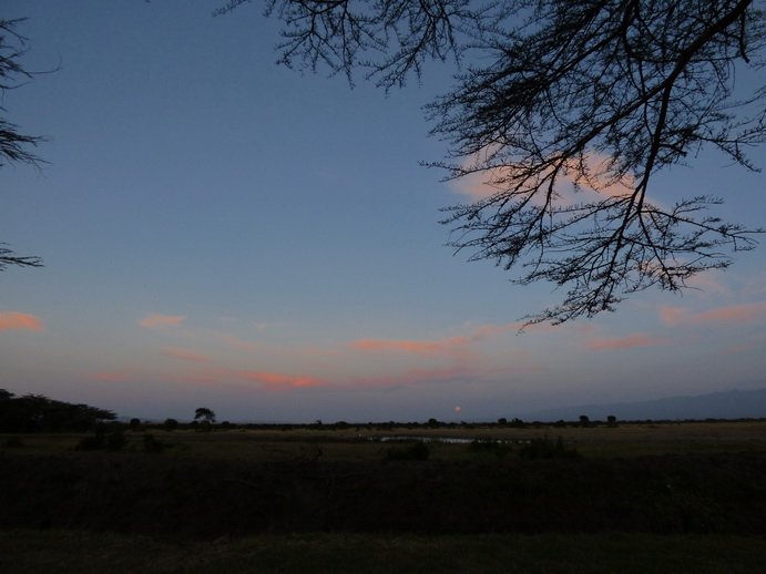 Sweetwaters  Kenia  National Park Hotel Sweetwaters Serena Camp, Mount Kenya National Park fulmoon: 