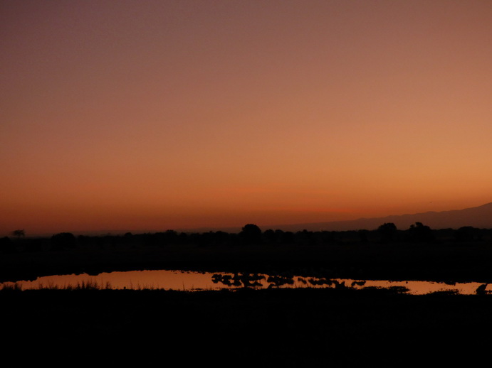 Sweetwaters  Kenia  National Park Hotel Sweetwaters Serena Camp, Mount Kenya National Park fulmoon: 