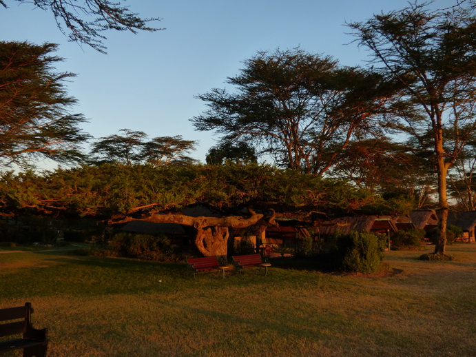 Sweetwaters  Kenia  National Park Hotel Sweetwaters Serena Camp, Mount Kenya National Park: 