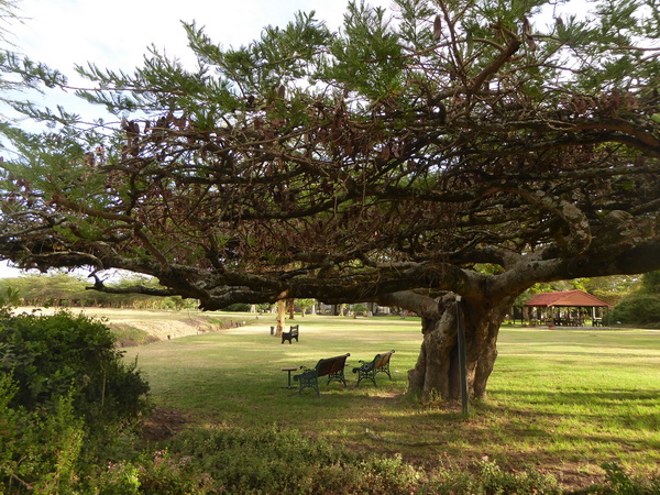 Sweetwaters  Kenia  National Park Hotel Sweetwaters Serena Camp, Mount Kenya National Park