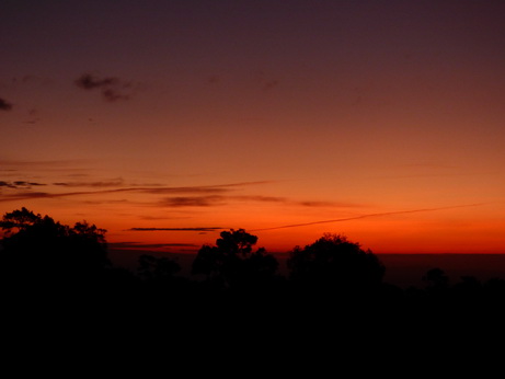   The Ark  in Kenia Aberdare National Park  Sundowner The Ark  in Kenia Aberdare National Park  Sundowner 