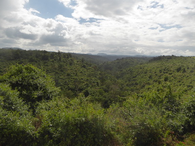 The Ark   Aberdare National Park