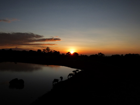 The Ark  in Kenia Aberdare National Park   Moonlake Mt Kenia