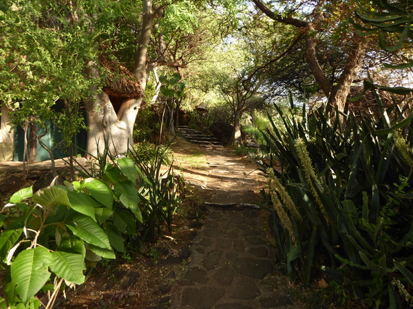  Kenia  Lake Baringo Island Camp walkpath