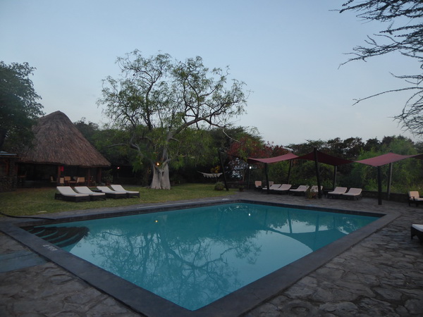  Kenia  Lake Baringo Island Camp POOLTREE