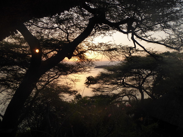  Kenia  Lake Baringo Island Camp POOLTREE  Kenia  Lake Baringo Island Camp Frühstückssonne