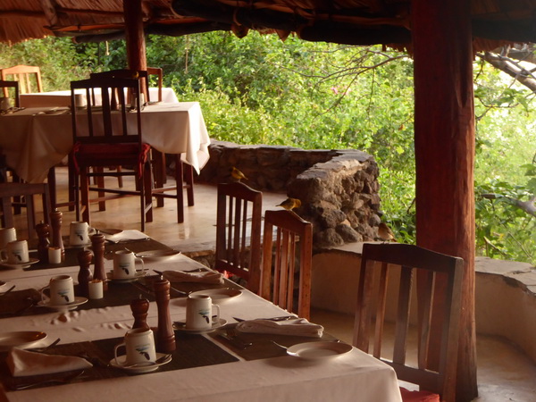  Kenia  Lake Baringo Island Camp Frühstückssonne