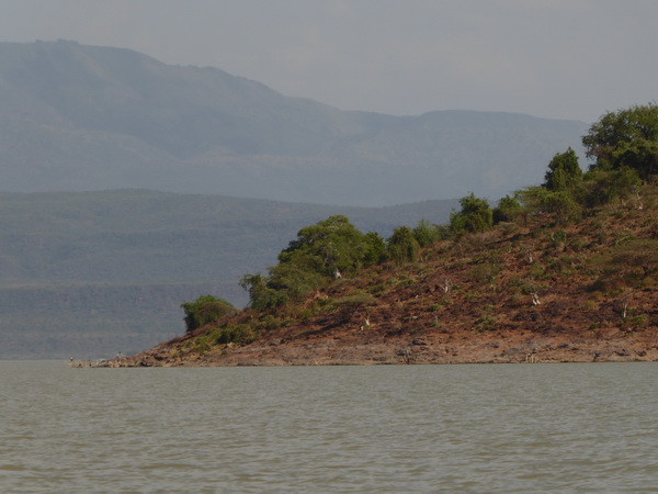  Kenia  Lake Baringo Island Camp