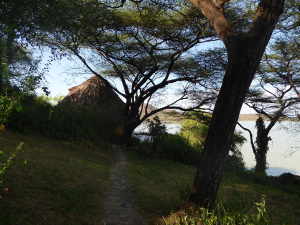  Kenia  Lake Baringo Island Camp our Banda