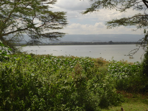    Kenia   Elsamere Naivasha Kenia   Elsamere Naivasha