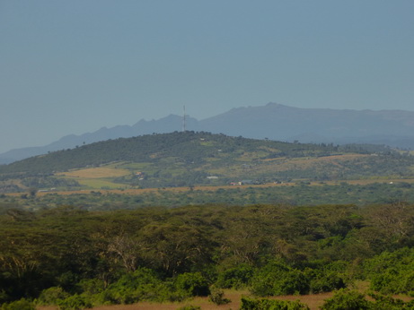 solio Ranch Rhino