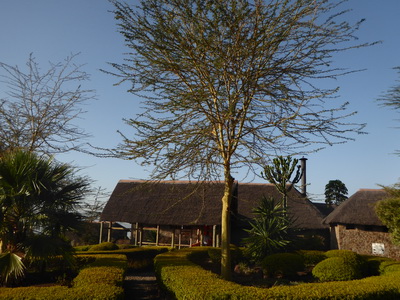   Sunbird Lodge   Lake Elementaita   Kenia   Sunbird Lodge  Lake Elementaita  Kenia   