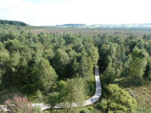 Rhönmoor  Wanderweg moorwanderung schwarzes Moor 