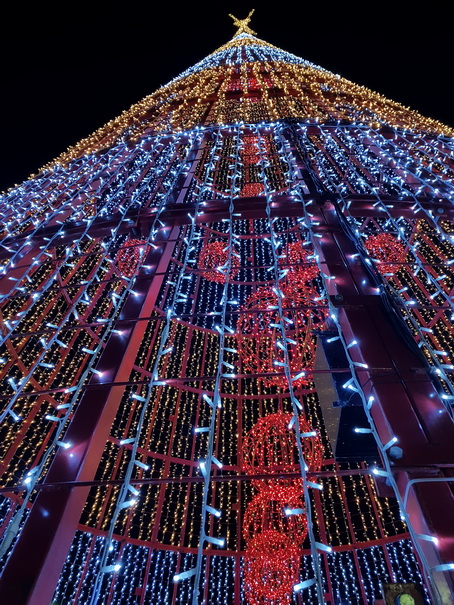 Madeira 2017 Christmastree Weihnachtsbaum Madeira 2017 Christmastree Weihnachtsbaum  Weihnachtsschmuck 