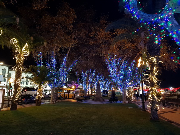 Madeira 2017 Christmastree Weihnachtsbaum Madeira 2017 Christmastree Weihnachtsbaum  Weihnachtsschmuck 