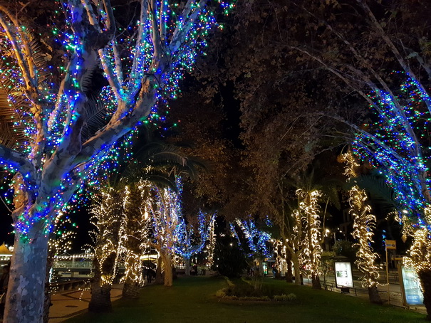 Madeira 2017 Christmastree Weihnachtsbaum Madeira 2017 Christmastree Weihnachtsbaum  Weihnachtsschmuck 