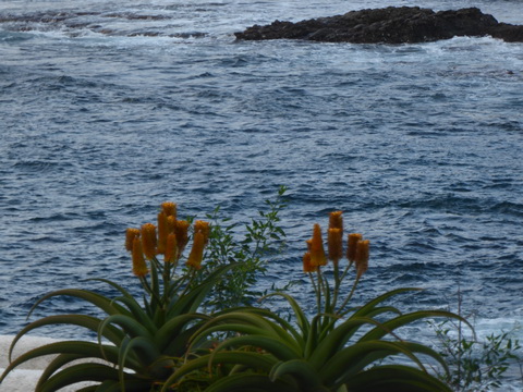 Gran Canaria Beach Playa de El Confital 