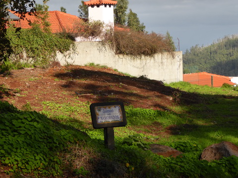   Madeira 2017 Fahrt zur Levadawanderung Madeira 2017   Levadawanderung 