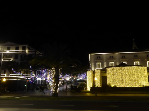 Madeira 2017 Christmastree Weihnachtsbaum Madeira 2017 Christmastree Weihnachtsbaum  Weihnachtsschmuck 