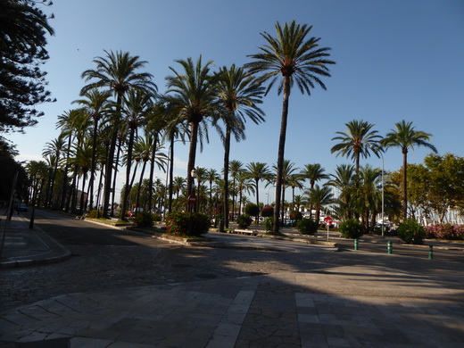   Palma de Mallorca Mallorca Avenida de Gabriel Roca Palma de Mallorca Mallorca Avenida de Gabriel Roca 