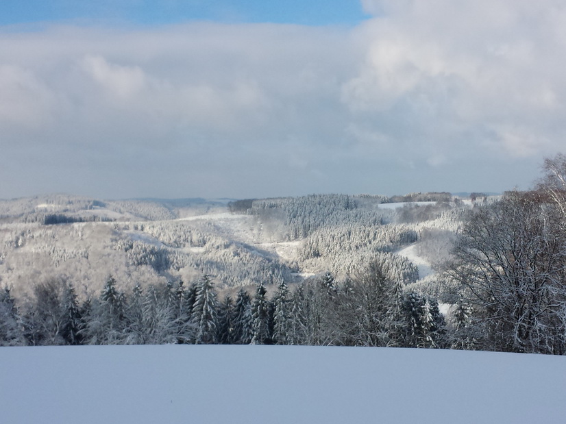 Blick von Hecke nach dem Zwergstall