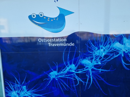 Ostseestation Travempünde