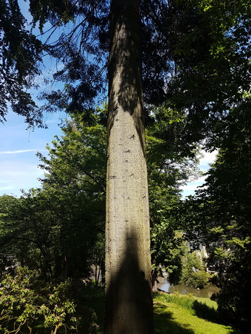 Rüthen Grevenstein Warstein Schloss Körtlinghausen Schloss Körtlinghausen  Rüthen 