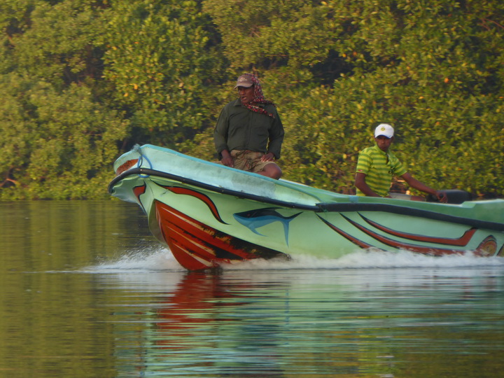 Negombo Boatsafari Mangroves 