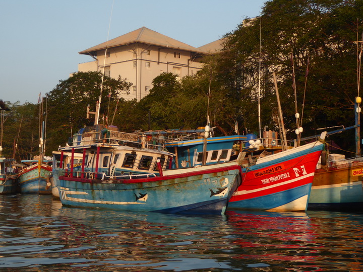 Negombo Boatsafari Mangroves 