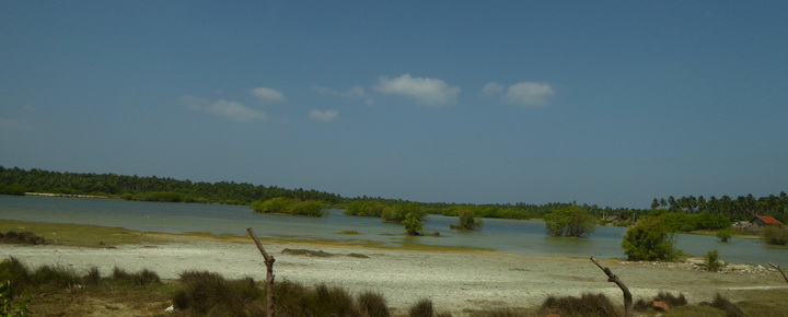 Kalpitiya  Wilpattu NP