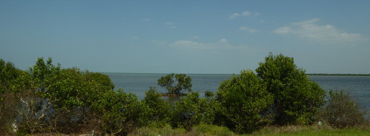 Kalpitiya  Wilpattu NP