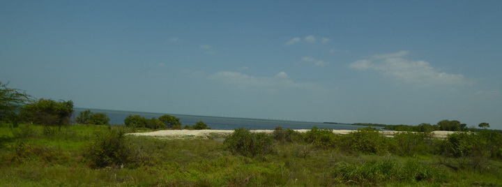 Kalpitiya  Wilpattu NP