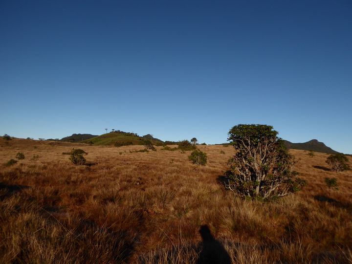   Trekking to Great World's End Drop Hortons Plains Nuwara Eliya Trekking to  Great World's End Drop Hortons Plains  Nuwara Eliya 